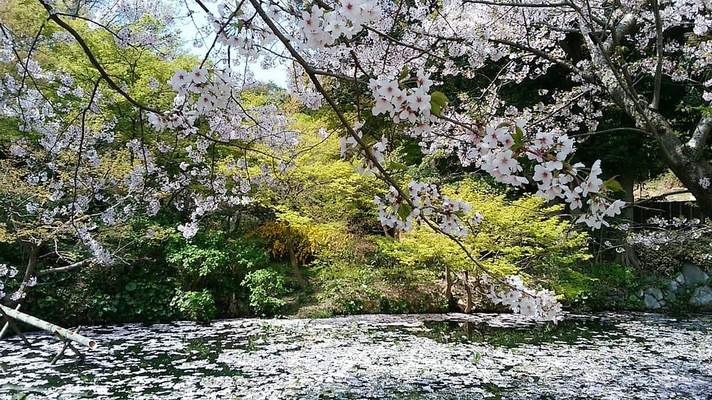 Shiranoe Botanical Garden