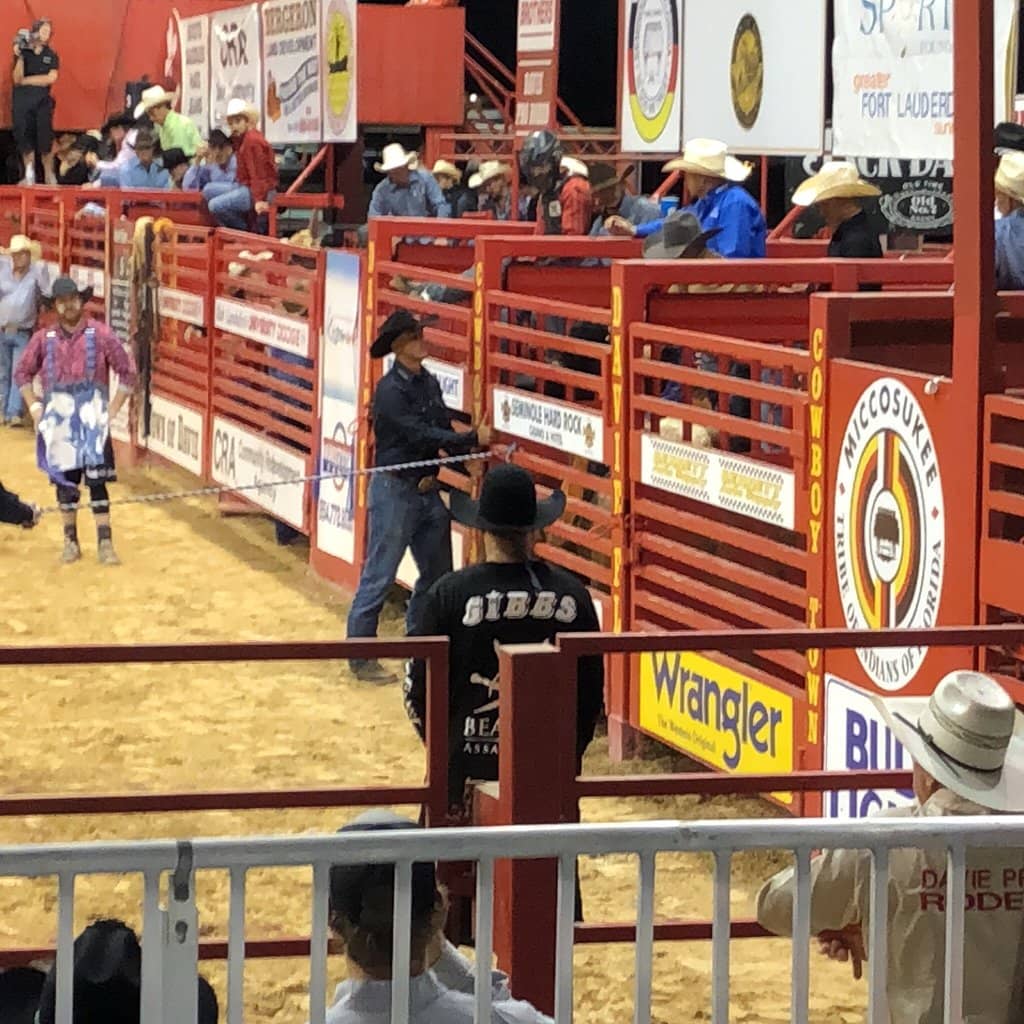 Highlights