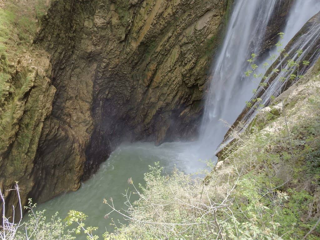 Vertical photo