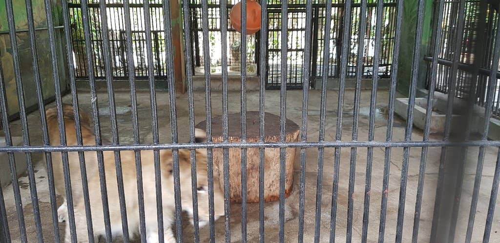 Exotic Wildlife Encounters