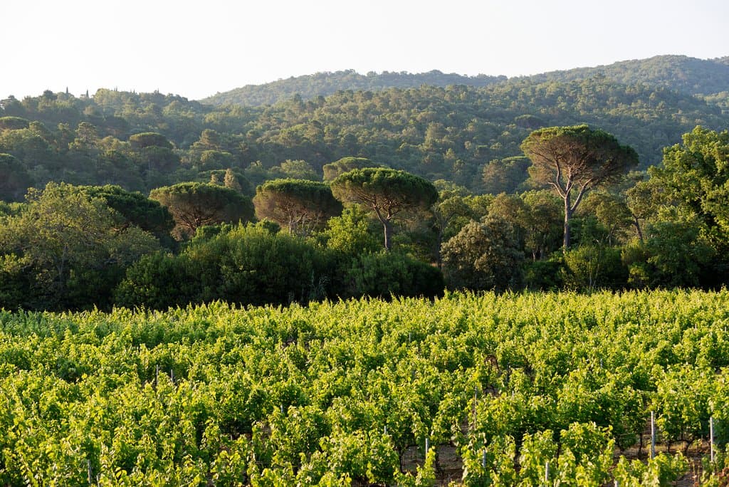 Chateau Barbeyrolles