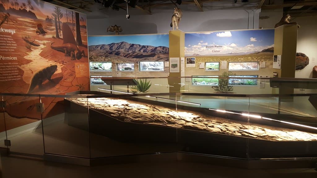 Museum of Nature & Science