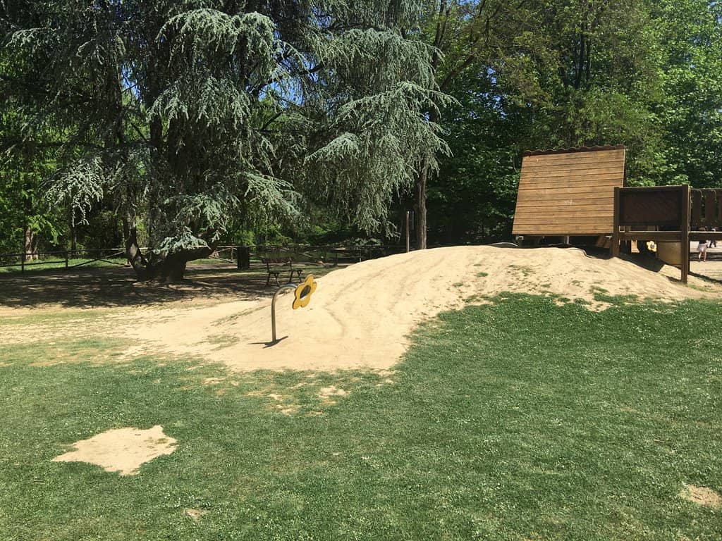 Ancient Cypress Trees