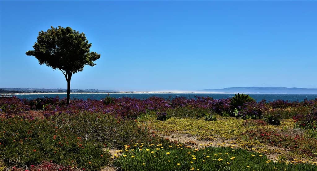 Kid-Friendly Playground