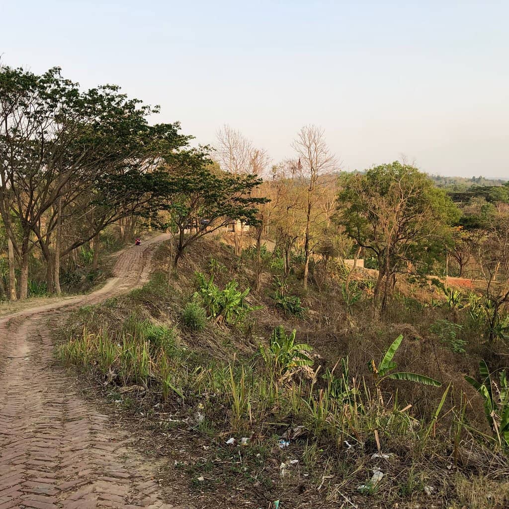 Mini Zoo & Safari Park