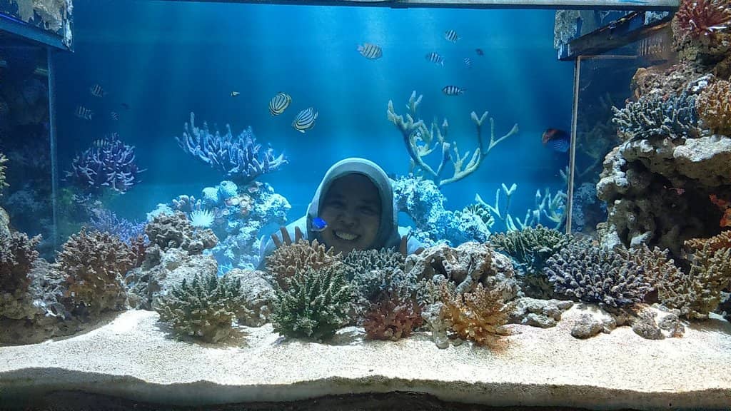 Fantastic Aquarium