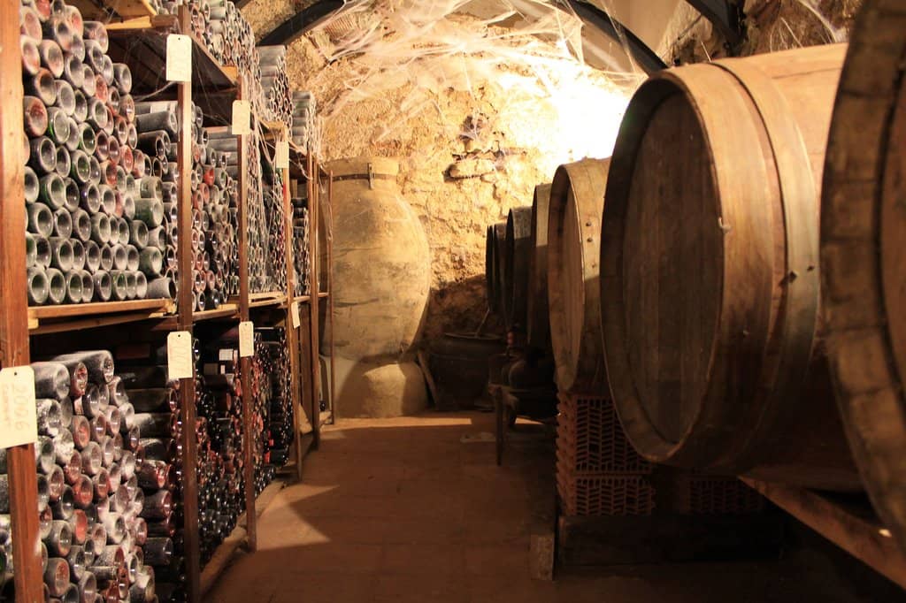 Wine Tasting Experience