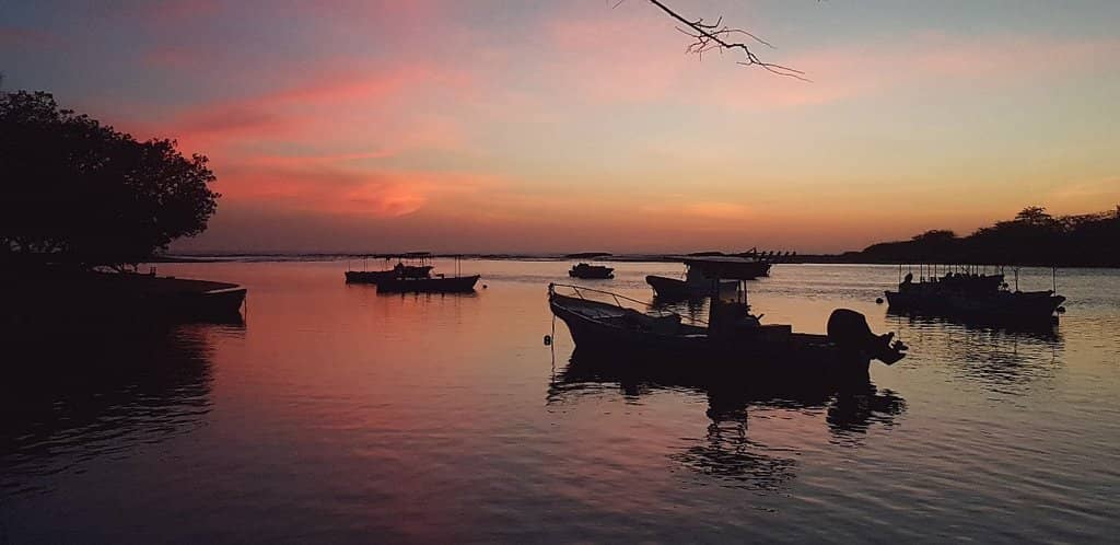 Local Cuisine & Piña Coladas