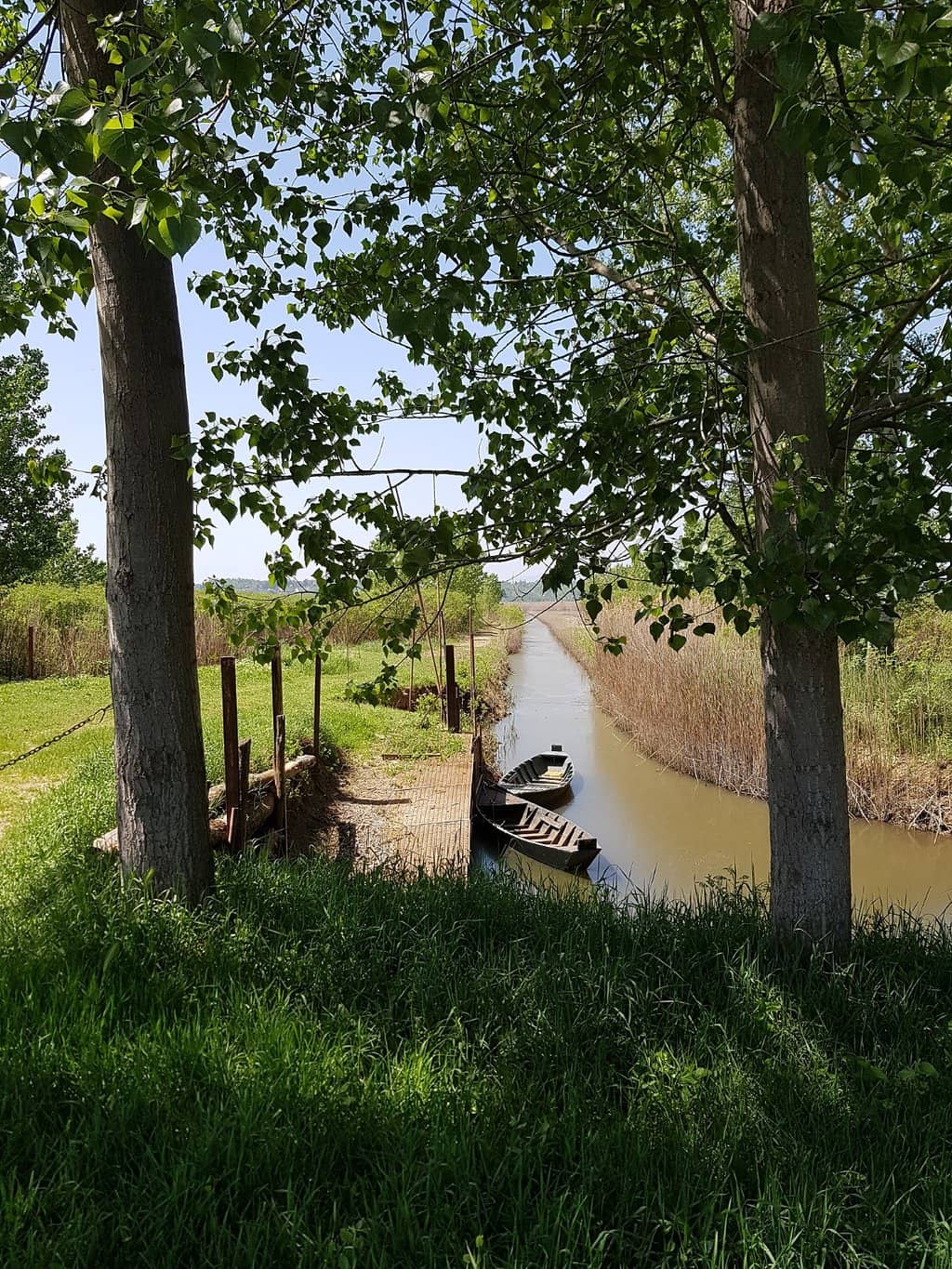 Italy's Largest Inland Marsh