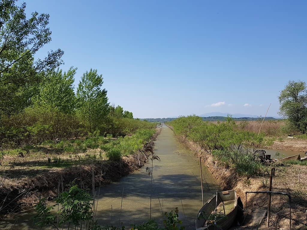 Wildlife Observatories