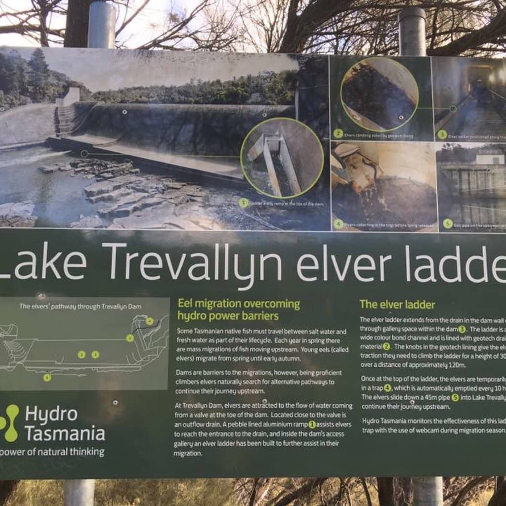 Dam Construction History