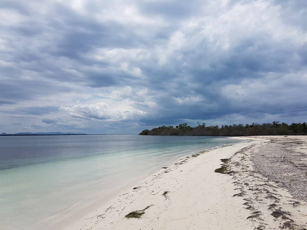 Vibrant Snorkeling & Diving