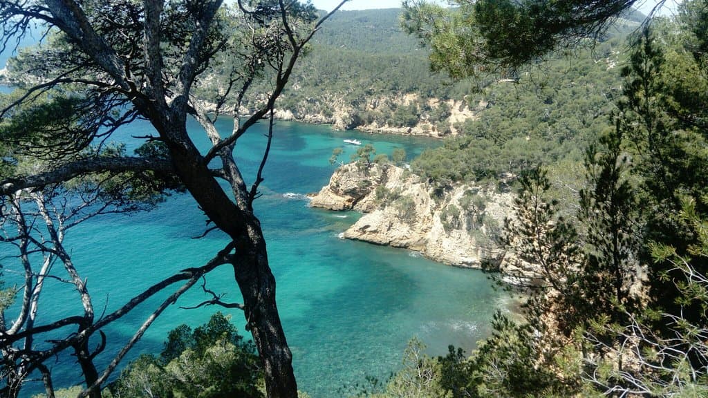 Sentier du Littoral Collioure–Port-Vendres
