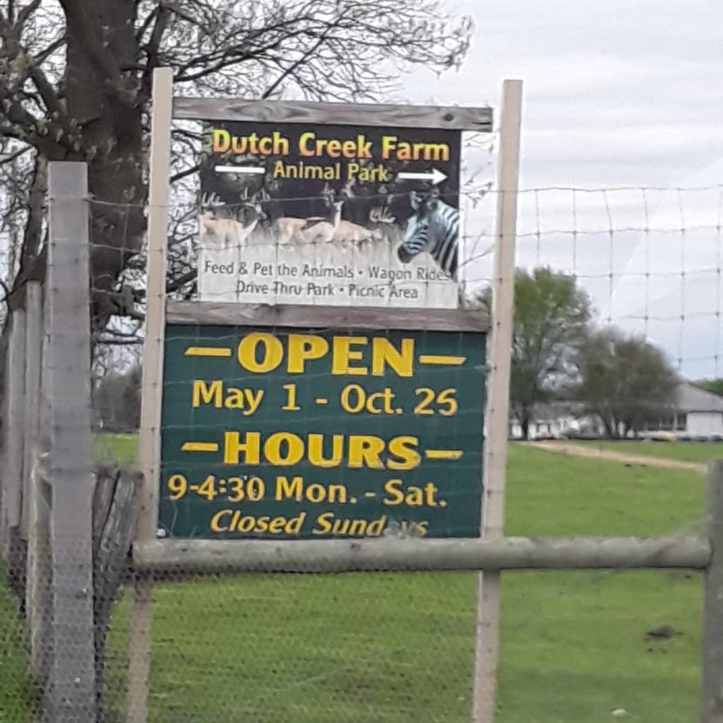 Petting Zoo Encounters