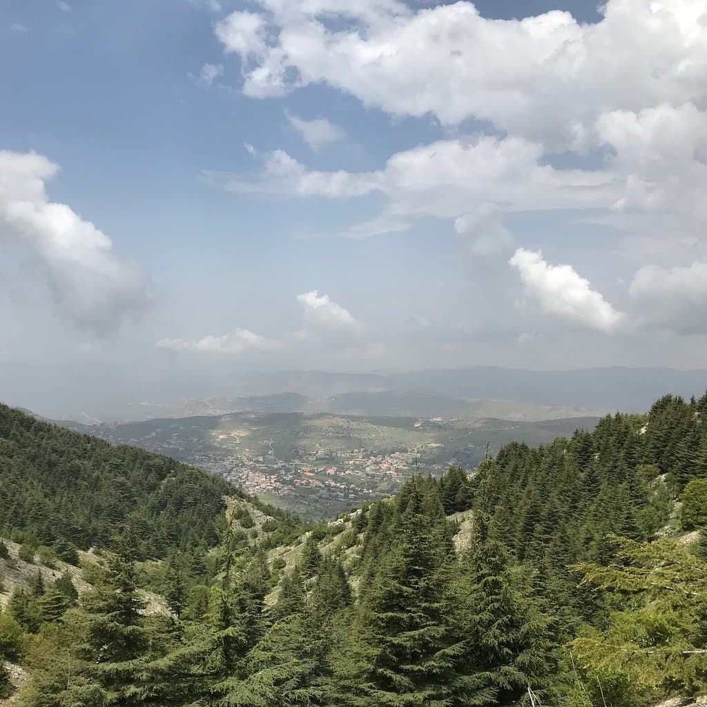 Shouf Cedars Reserve