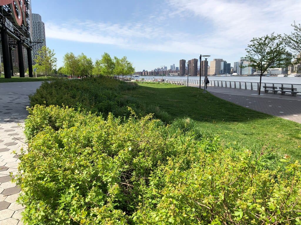 View Down The East River