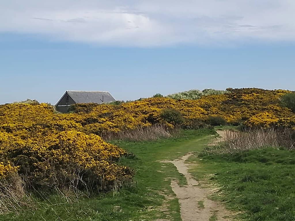 Ythan Estuary Views