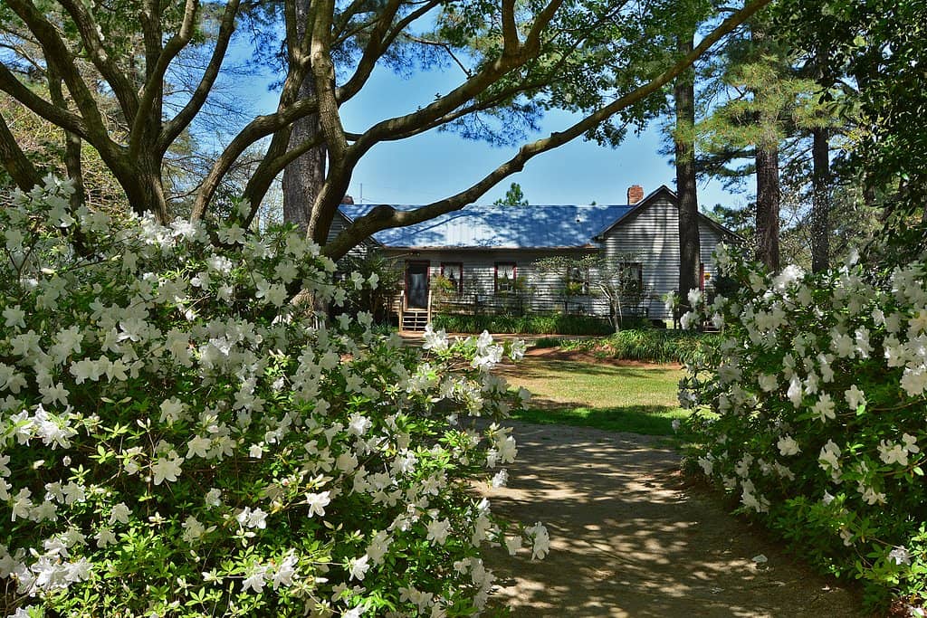 Enchanted Forest Trails