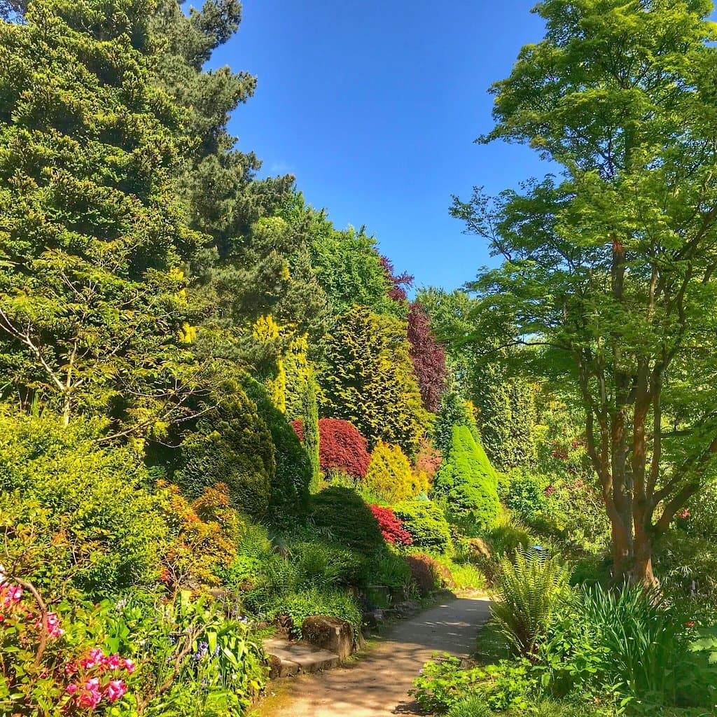 Fletcher Moss Botanical Garden