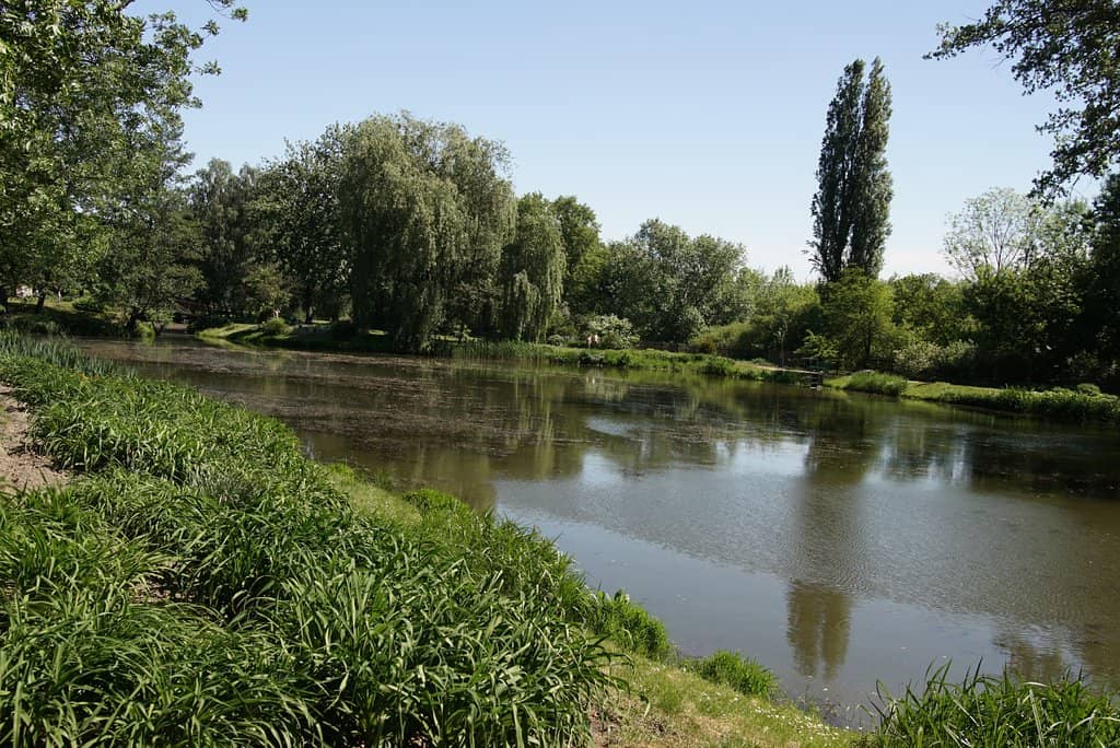 Tranquil Ponds and Wildlife