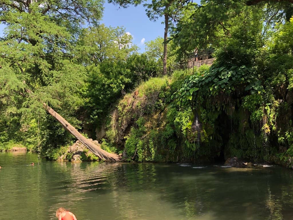 Natural Spring-Fed Pool