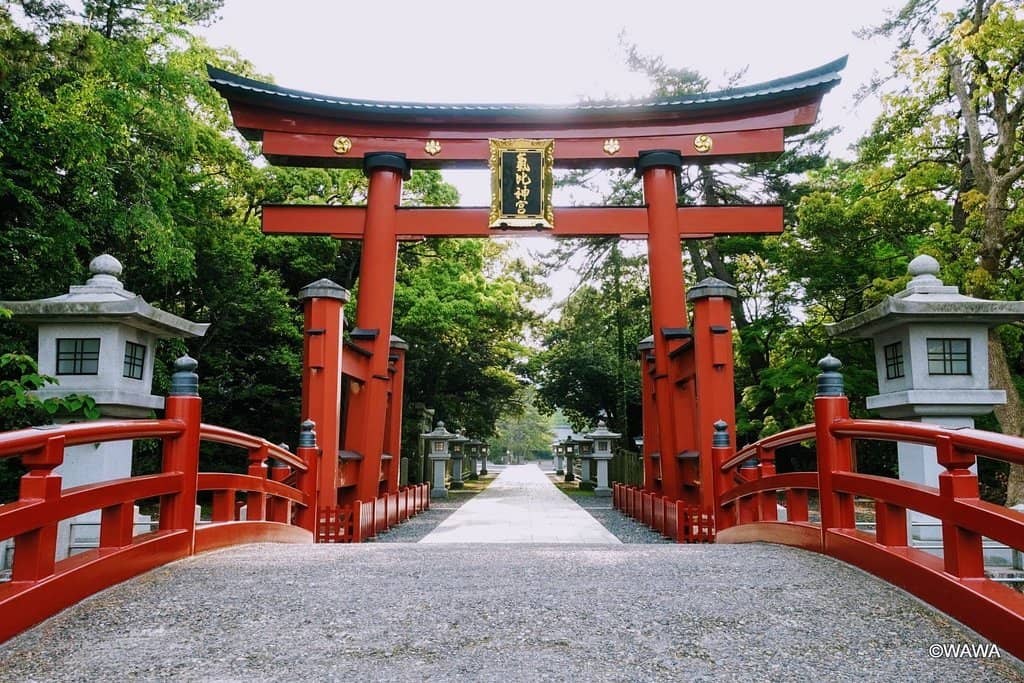 Sacred Longevity Water