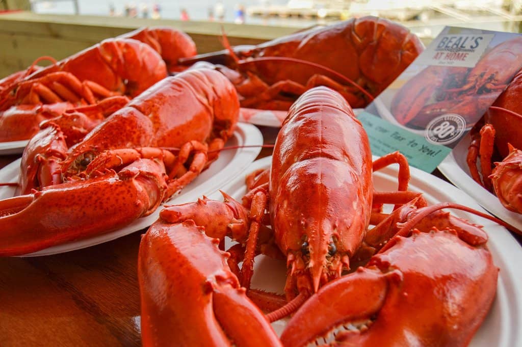 The Legendary Lobster Roll