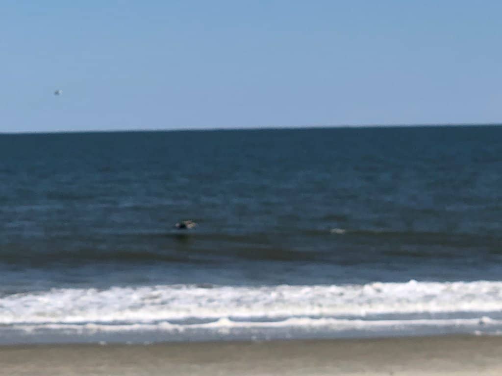 Big Wave Surfing Action