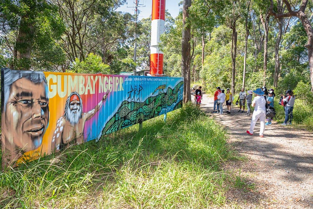 Rainforest Canopy Walk