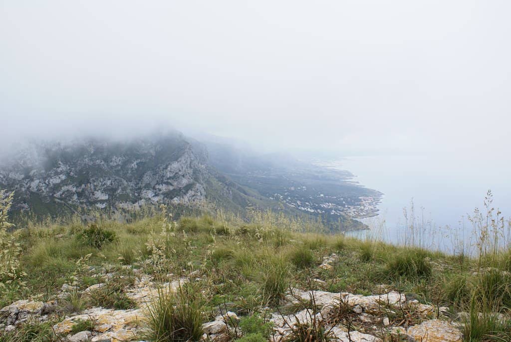 Well-Marked Loop Trails