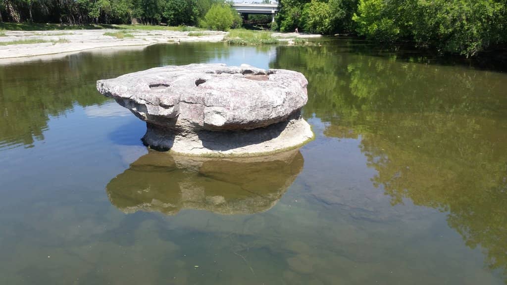 Picnic & Grill Areas