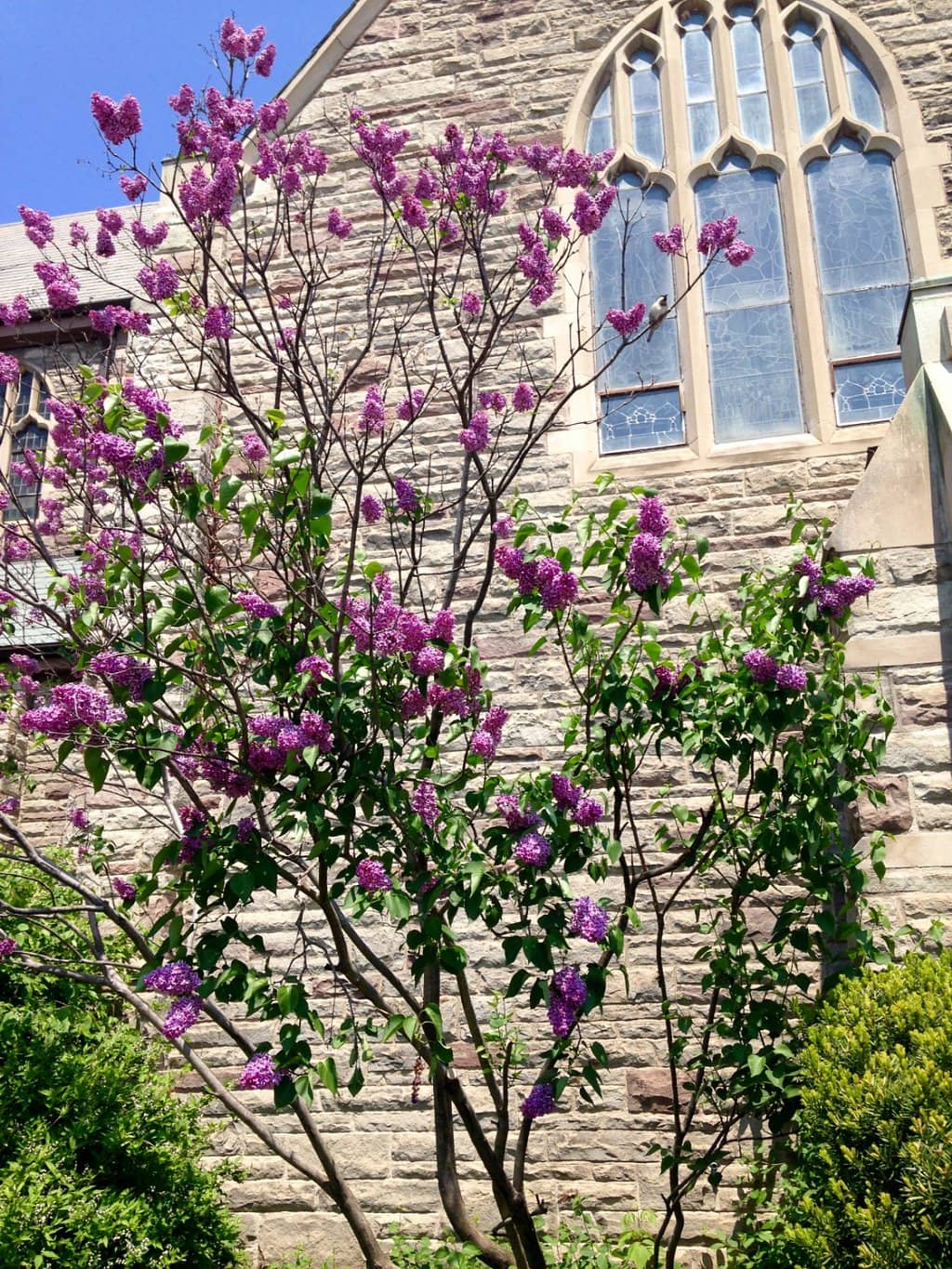 Vertical photo