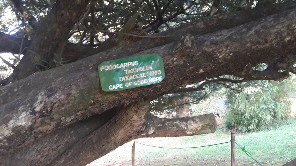 Children's Play Area