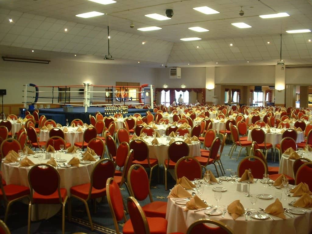 Greyhound Racing Nights