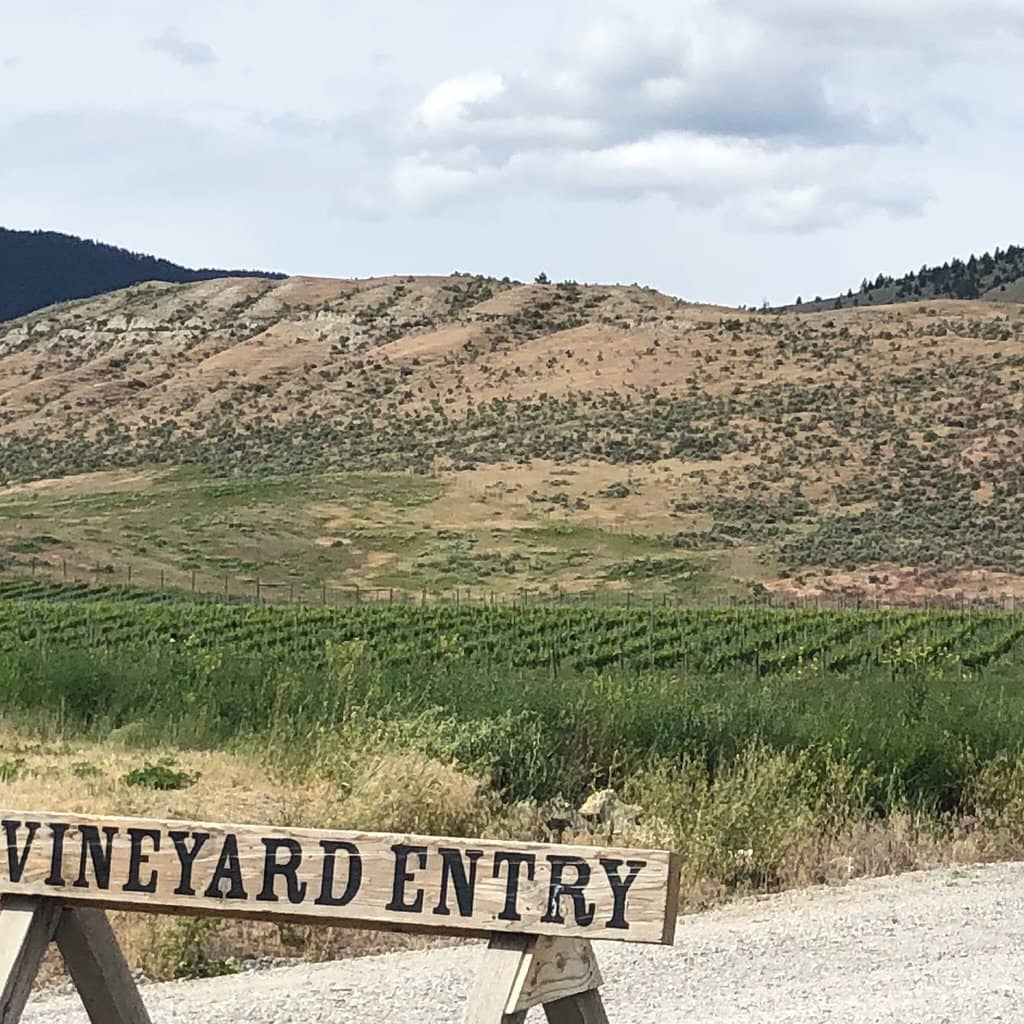 Beginner-Friendly Slopes