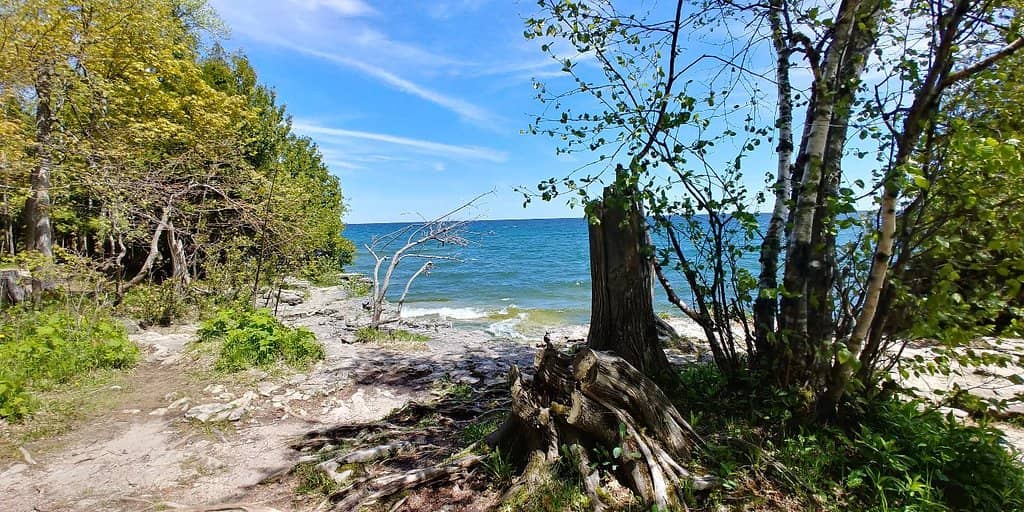Cliff Jumping (with caution)