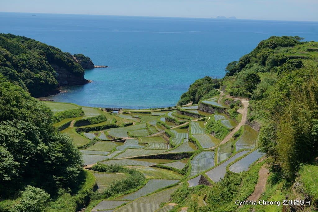 Tanoharu Rice Terraces