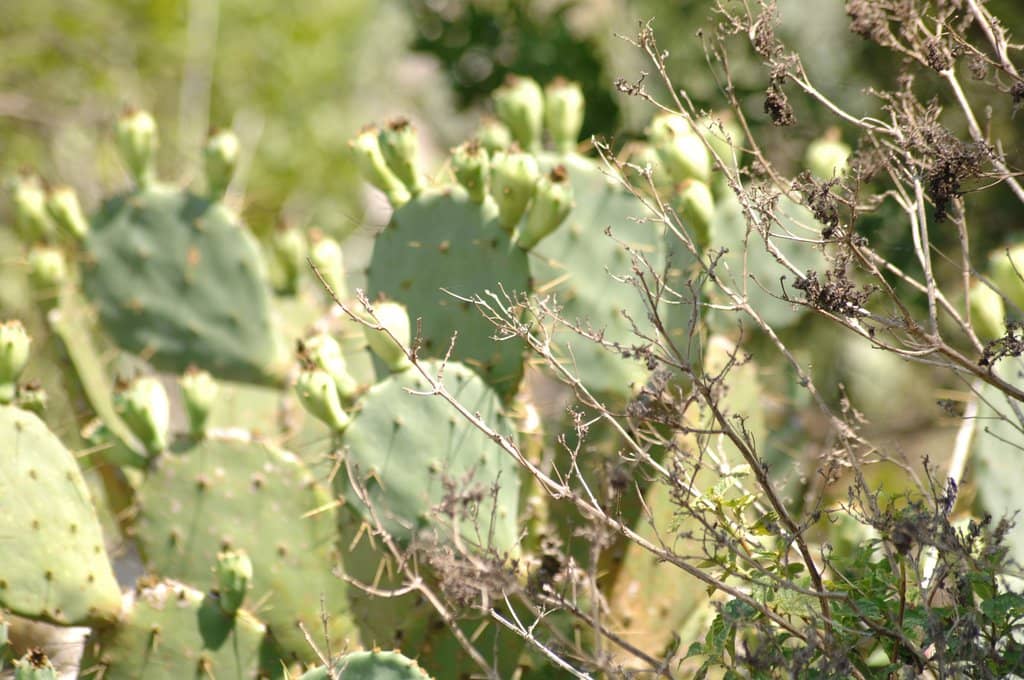 Birdwatching Paradise
