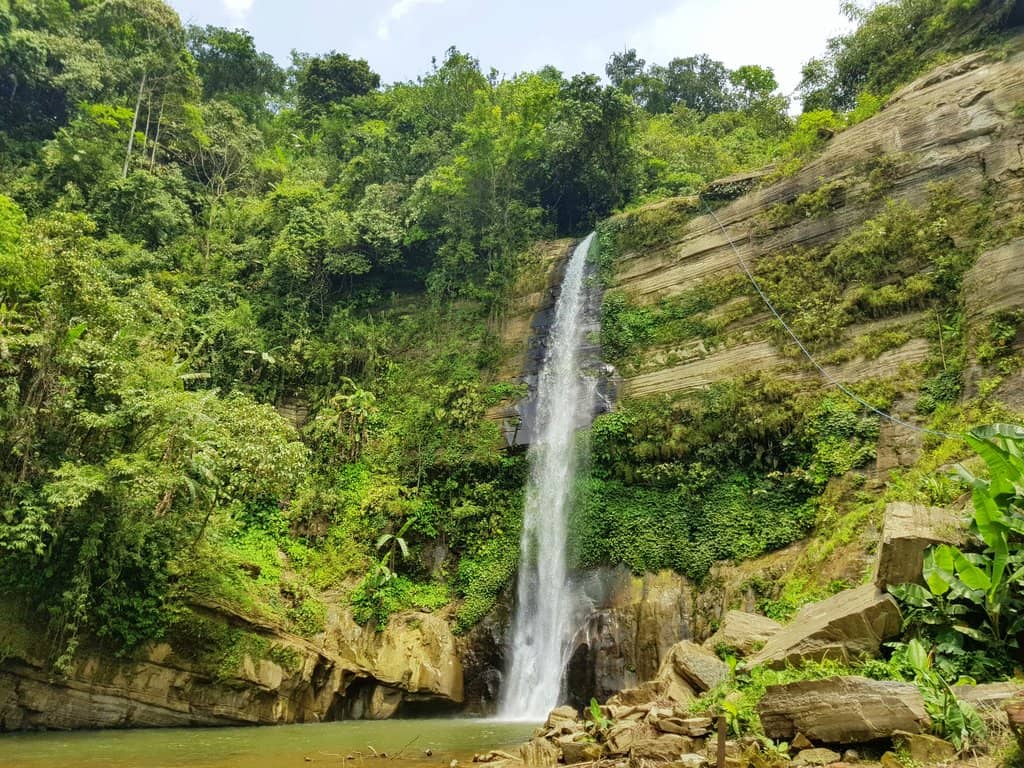 Vertical photo