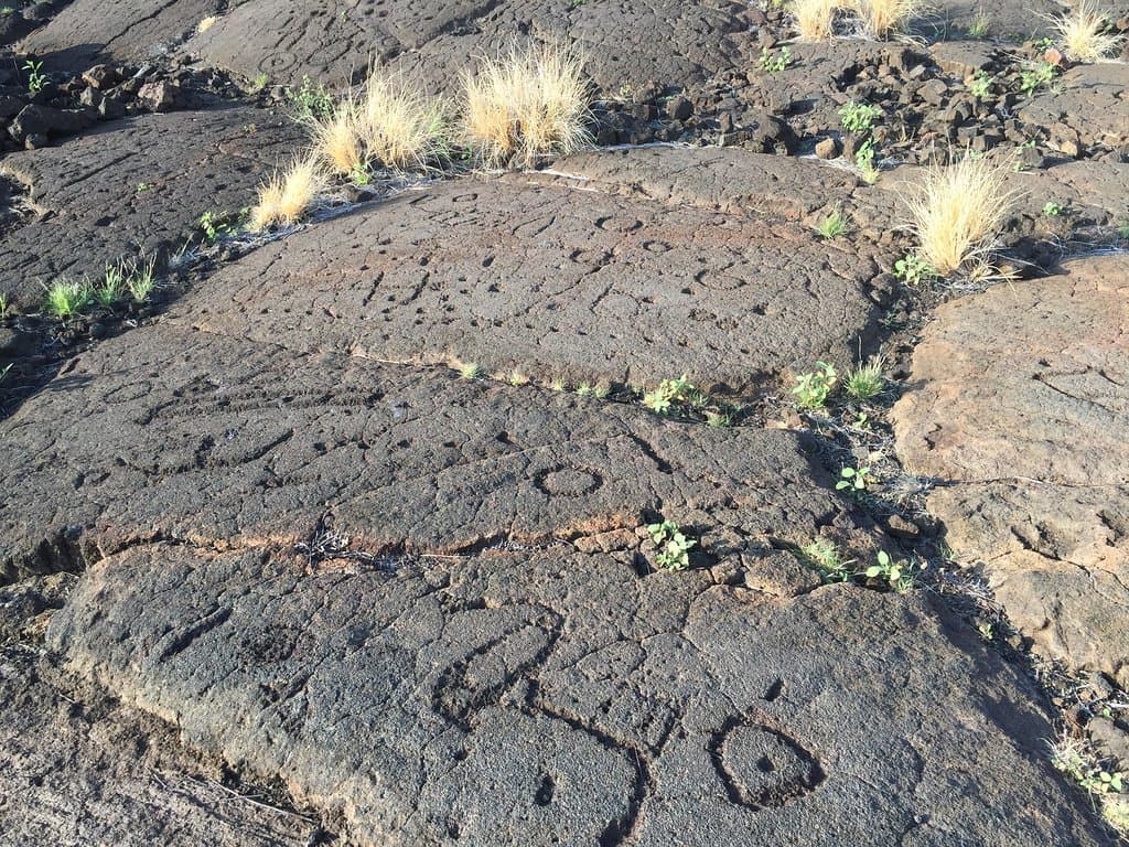 Waikoloa Petroglyph Reserve
