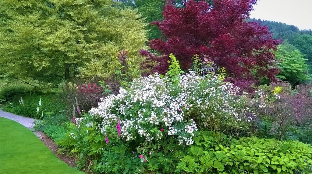 Manicured Lawns