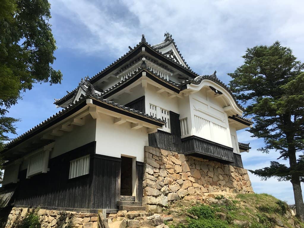 Sanjuro, the Cat Lord