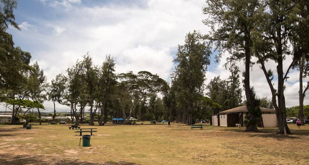 Paddleboarding & Kayaking