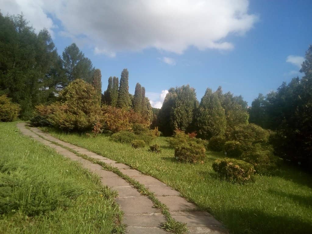 Vertical photo