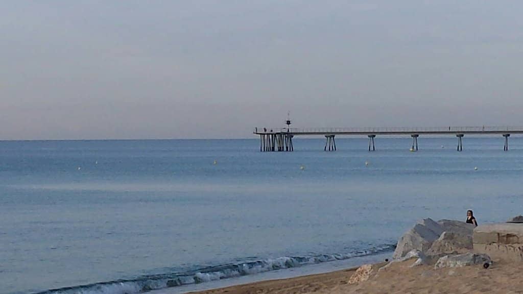 Pont del Petroli