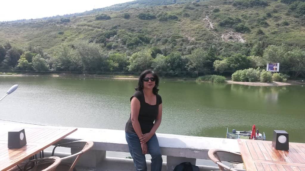 Public Concerts & Festivities