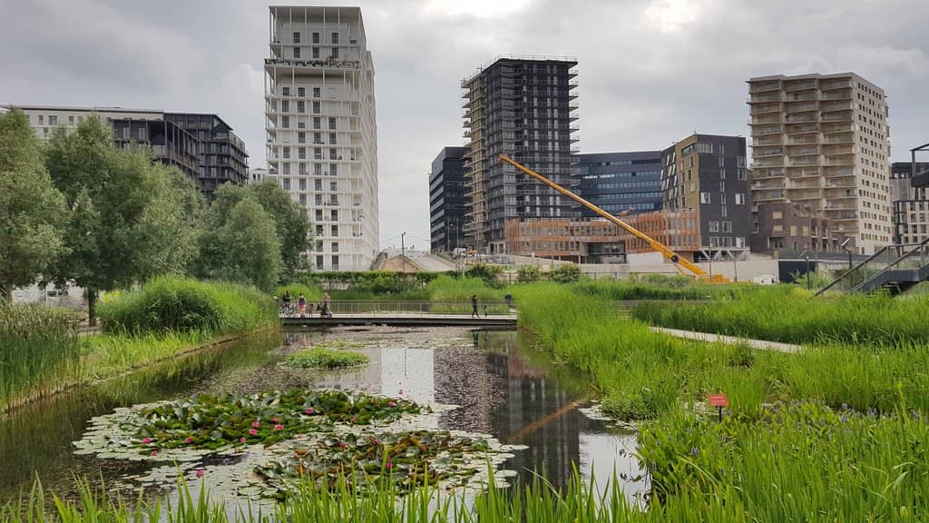 Urban Wetland