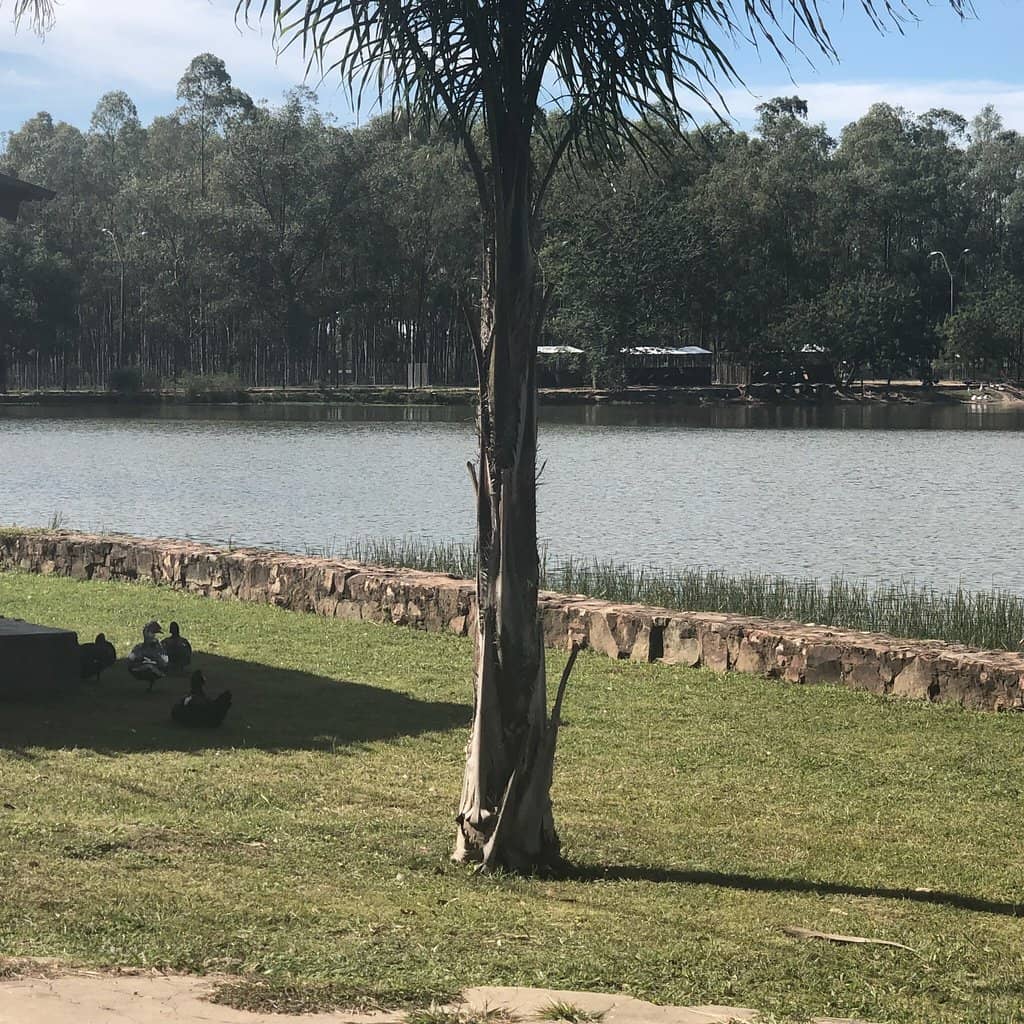 Nature Trails & Birdwatching