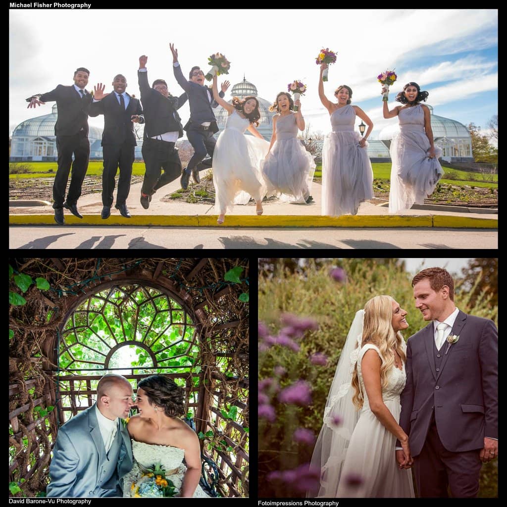 Butterfly Experience