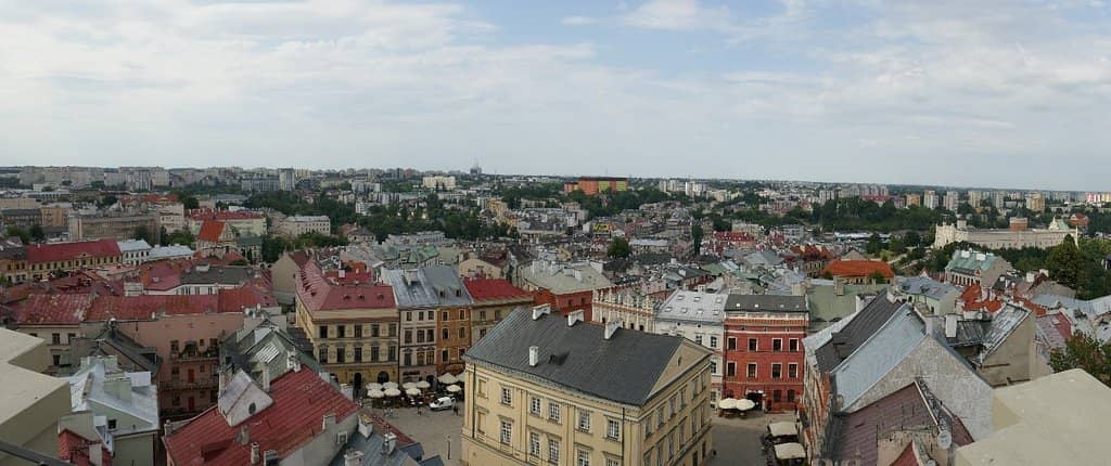 Cozy Coffee Shop with a View
